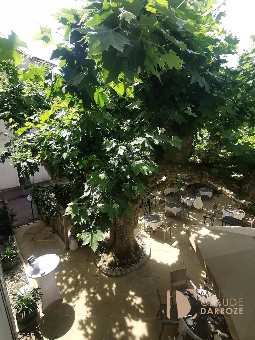 Logis Hotel - Restaurant Maison Claude Darroze لانغون المظهر الخارجي الصورة