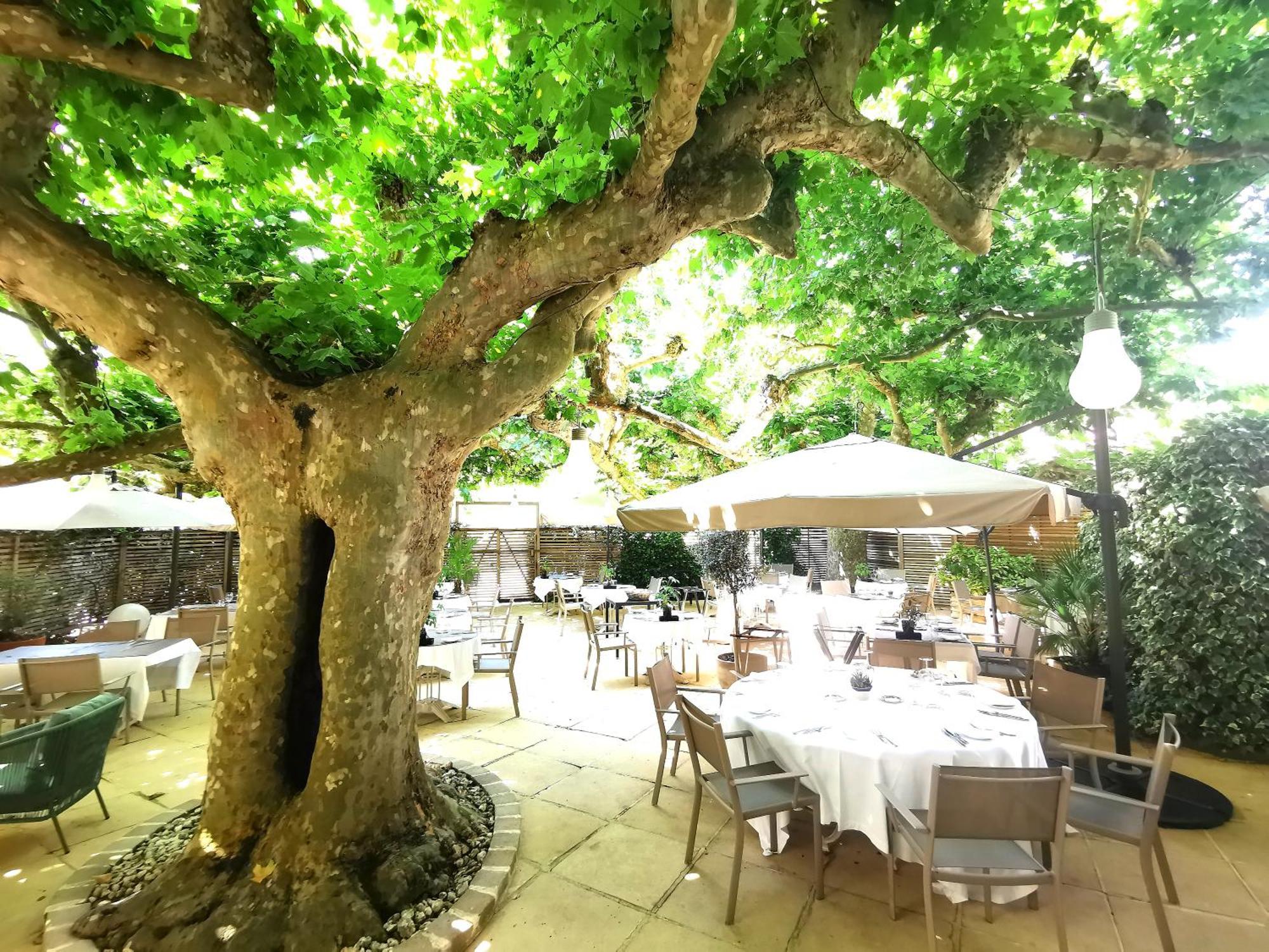 Logis Hotel - Restaurant Maison Claude Darroze لانغون المظهر الخارجي الصورة