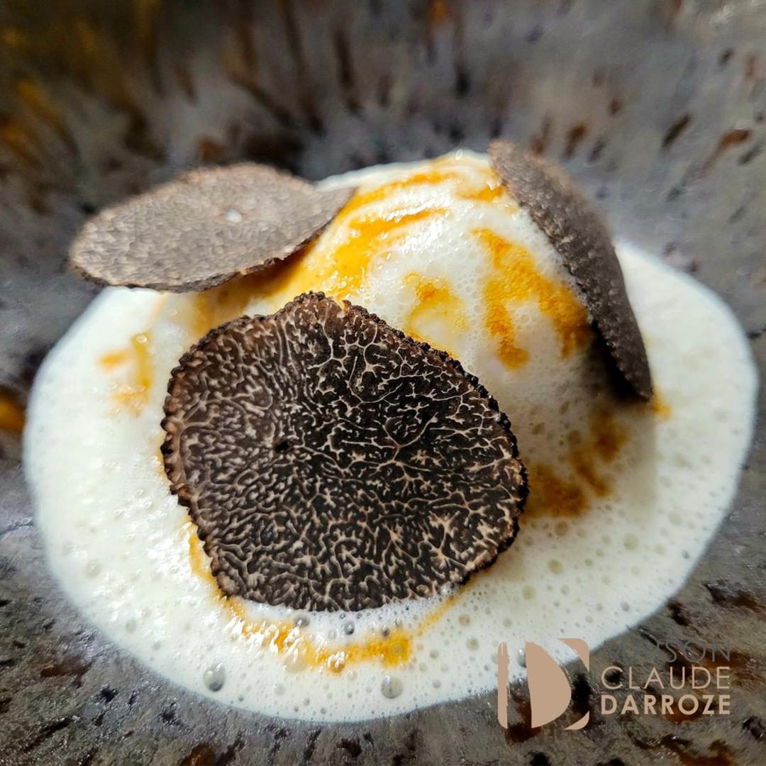 Logis Hotel - Restaurant Maison Claude Darroze لانغون المظهر الخارجي الصورة